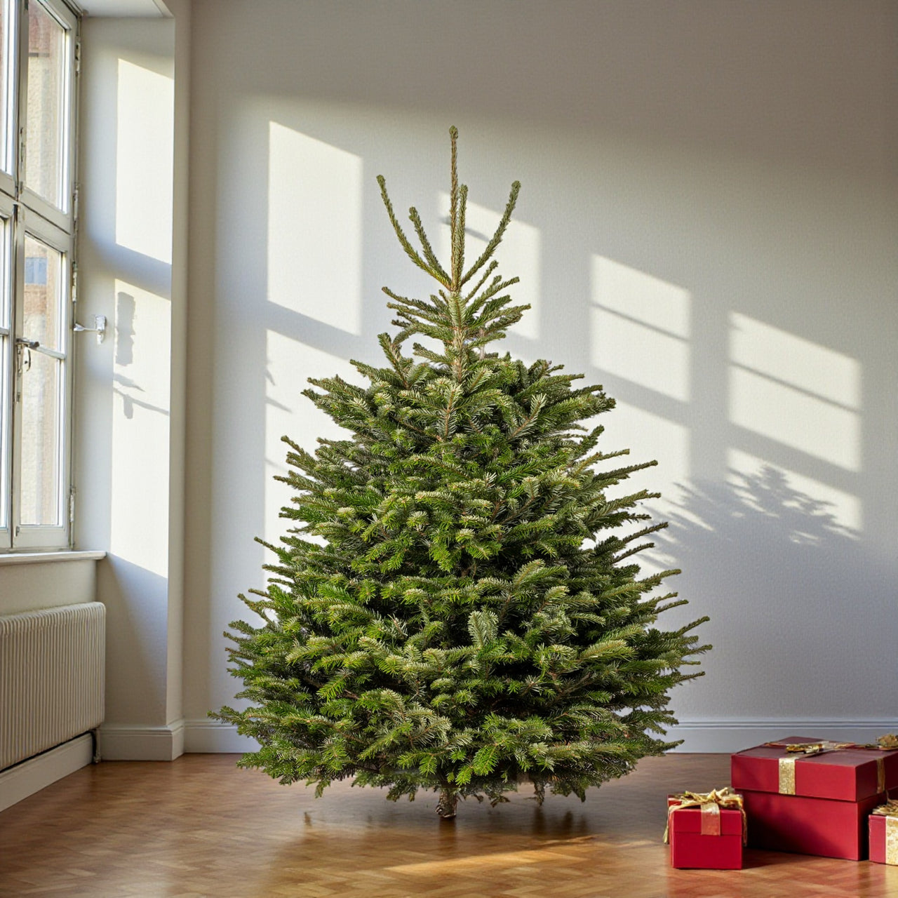 Fresh Christmas Tree