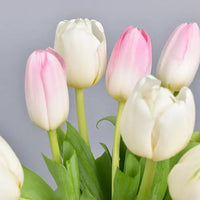 10 Tulips in Fish Bowl