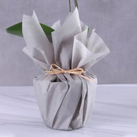 2 Stem White Orchid in Grey Wrap