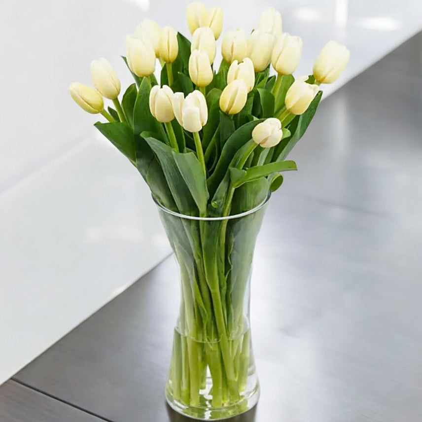 White Tulips in Glass Vase