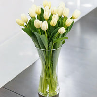 White Tulips in Glass Vase