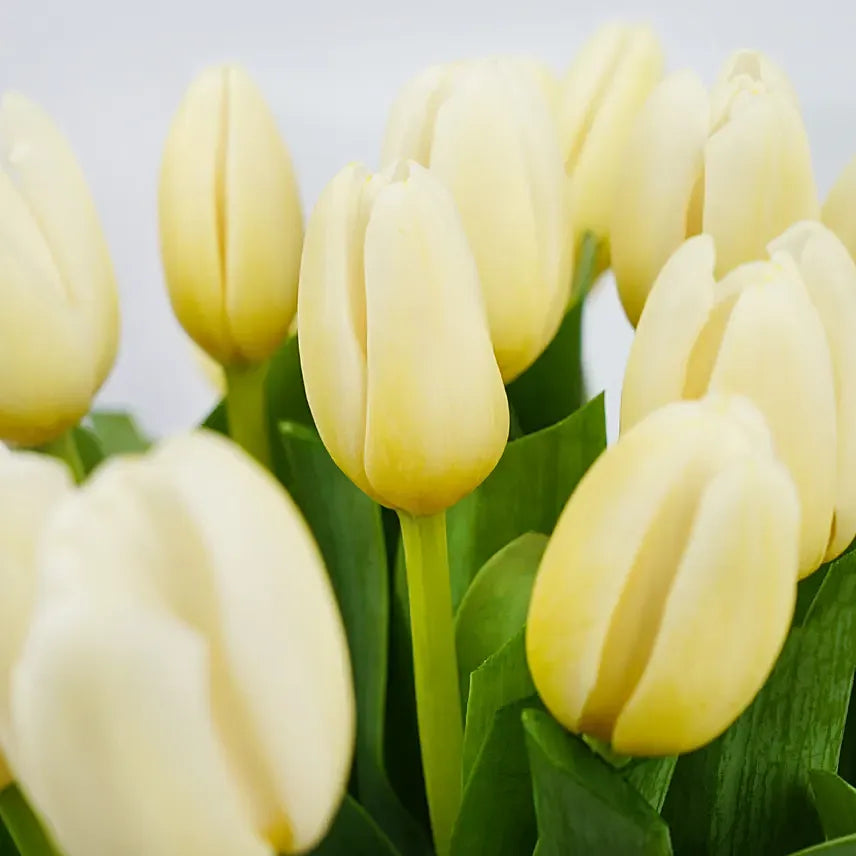 20 White Tulips in glass Vase
