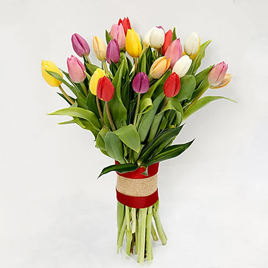 Tulip Radiance, 25 Vibrant Blooms, Nature's Beauty, White Tulips, Yellow Tulips