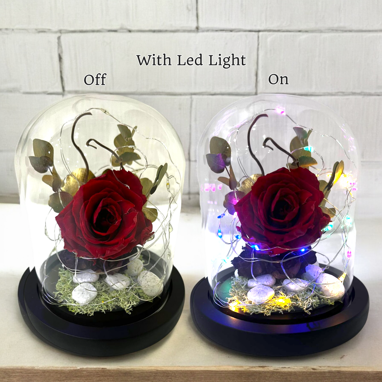 Timeless Preserved Rose Arrangement