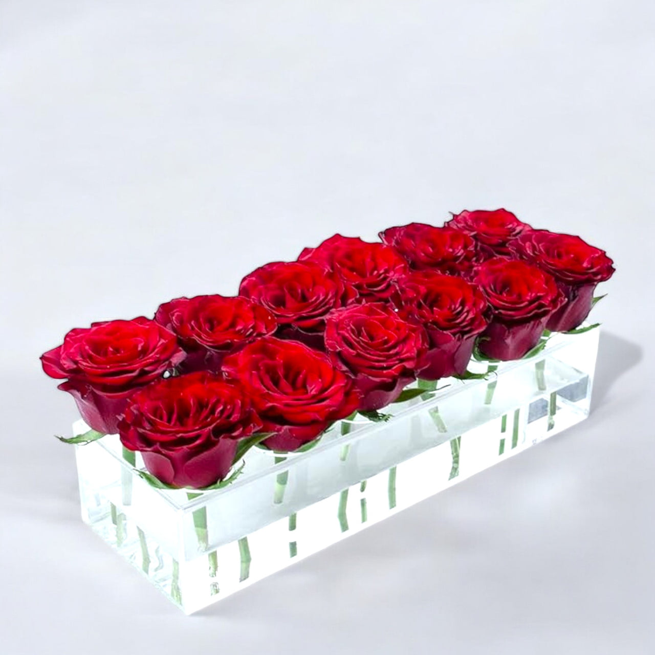 12 Fresh Red Roses