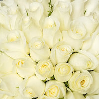 Bouquet of 50 White Roses