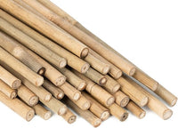 Natural Bamboo Plant Stakes