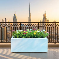 Seasonal Flower Plants – GRP Pot