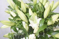 White Lily Bouquet