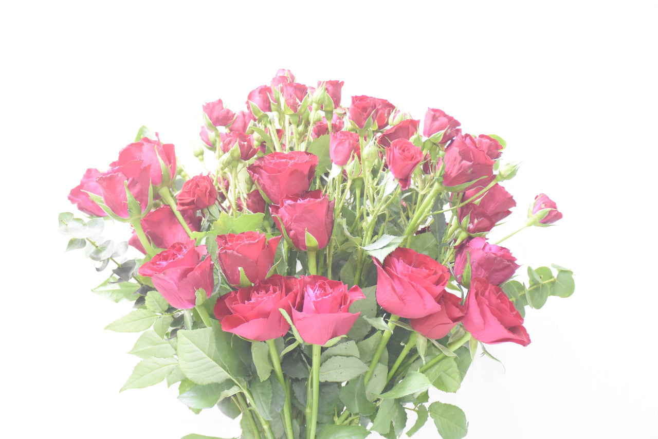 Enchanting Red Rose & Spray Rose Bouquet