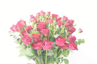 Enchanting Red Rose & Spray Rose Bouquet