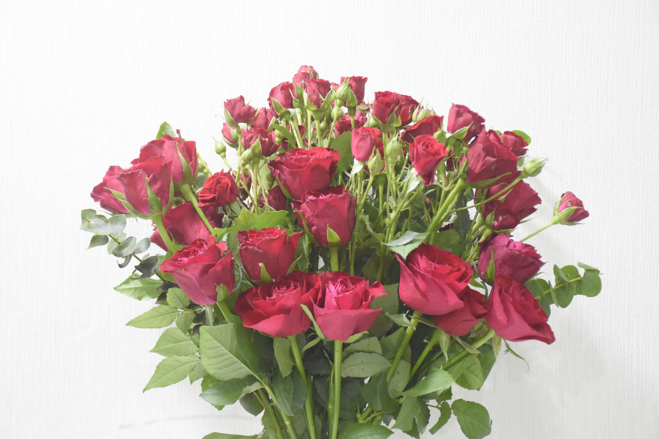 Enchanting Red Rose & Spray Rose Bouquet