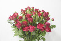 Enchanting Red Rose & Spray Rose Bouquet