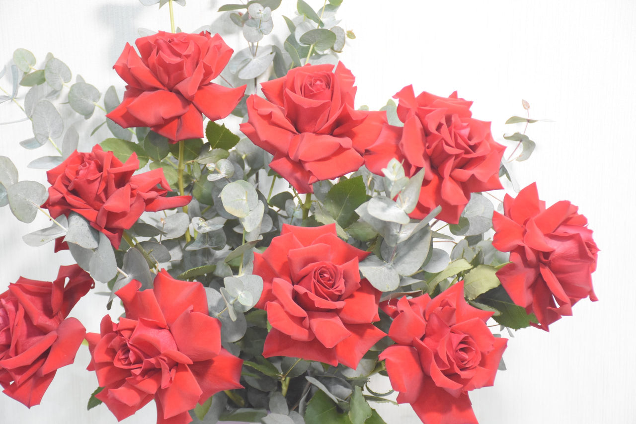 Red Rose Eucalyptus Ceramic Vase Arrangement