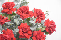 Red Rose Eucalyptus Ceramic Vase Arrangement