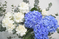 Ohara Roses and Blue Hydrangea in Vase