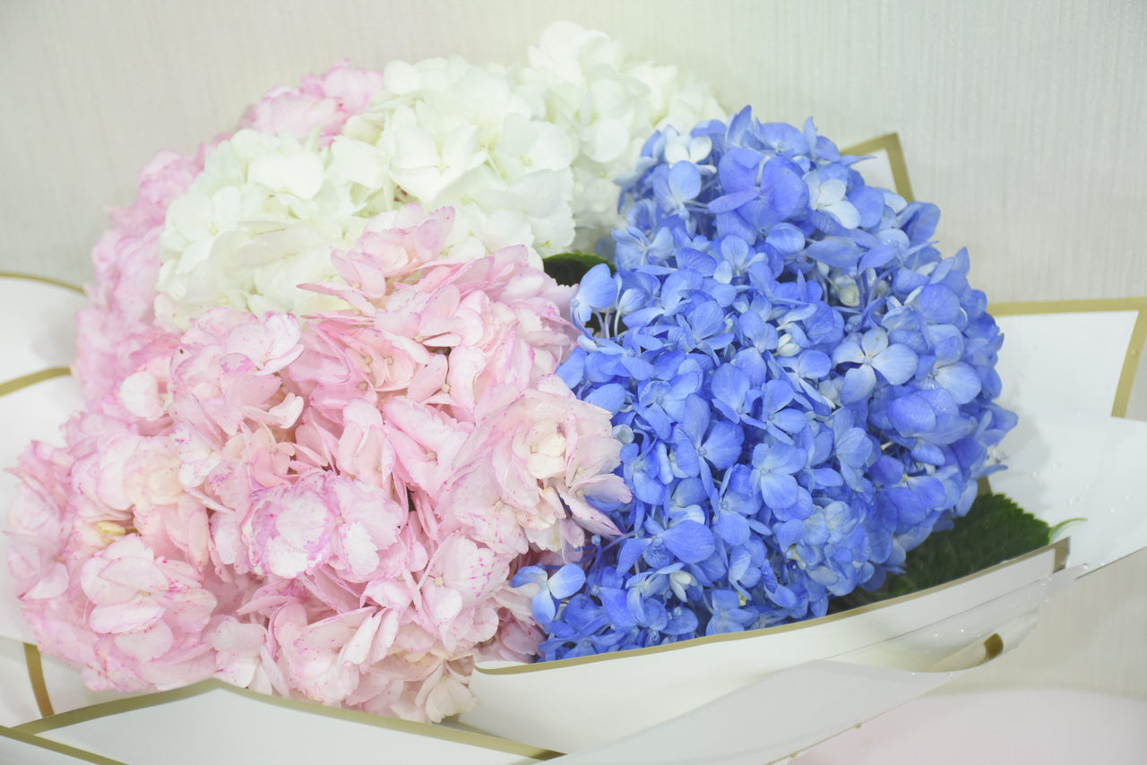 Hydrangea Harmony Bouquet