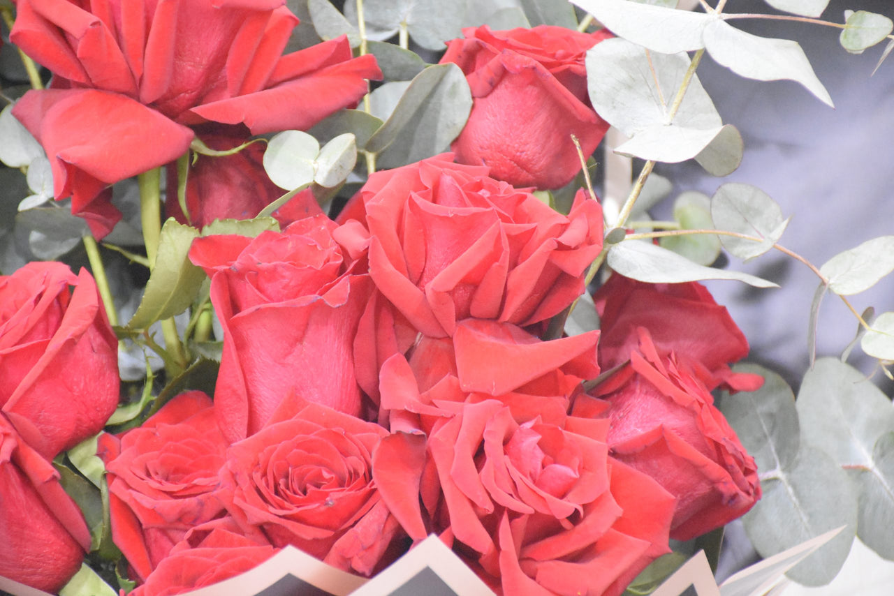 Classic Red Rose Bouquet
