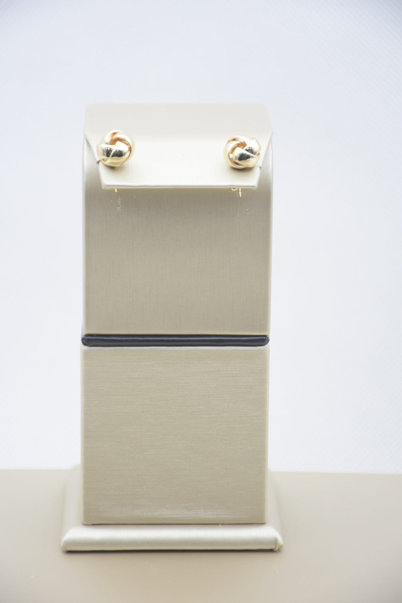 Stainless Steel Earrings in Lustrous 18K Gold