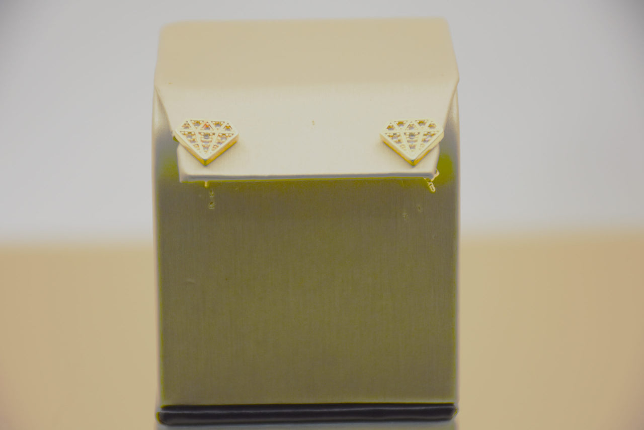 Elegance Refined: Stainless Steel Earrings with Radiant 18K Gold