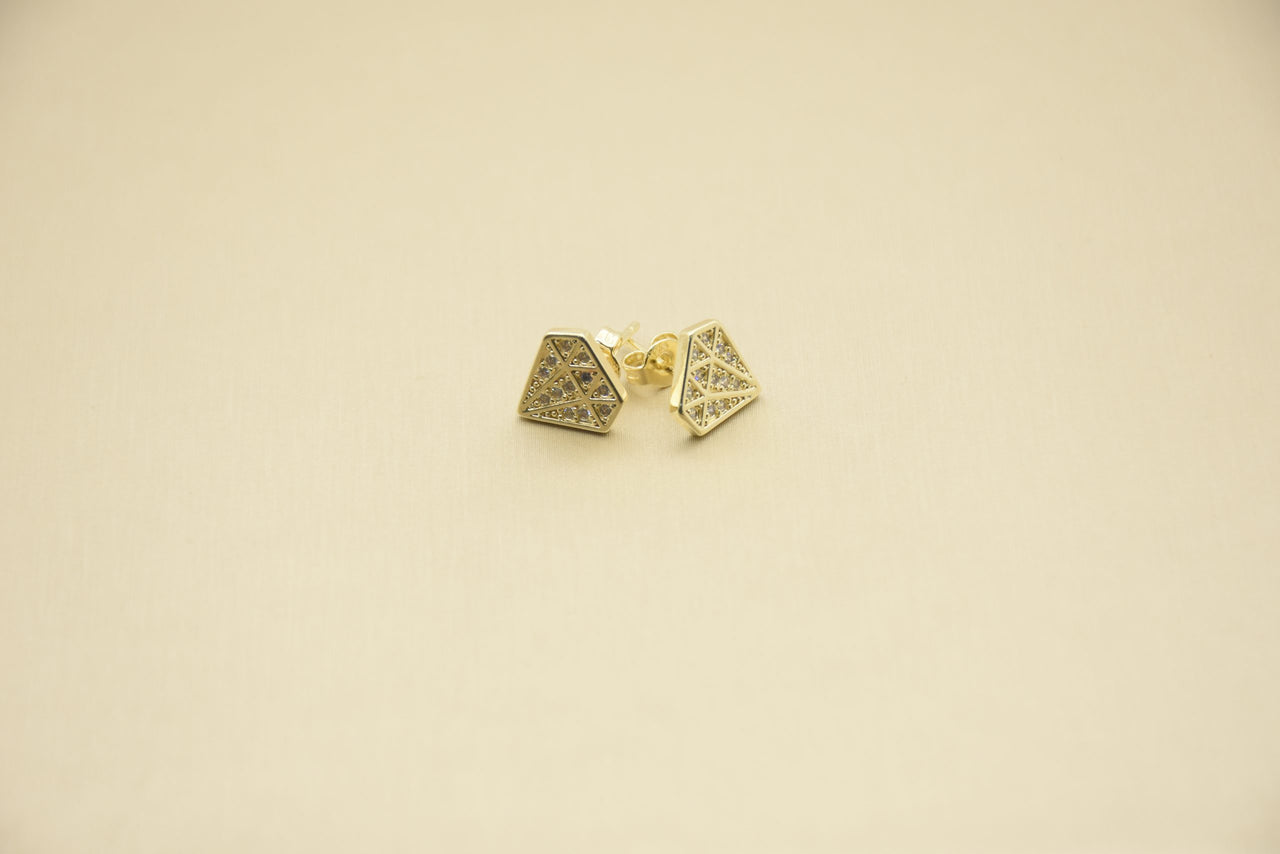 Elegance Refined: Stainless Steel Earrings with Radiant 18K Gold
