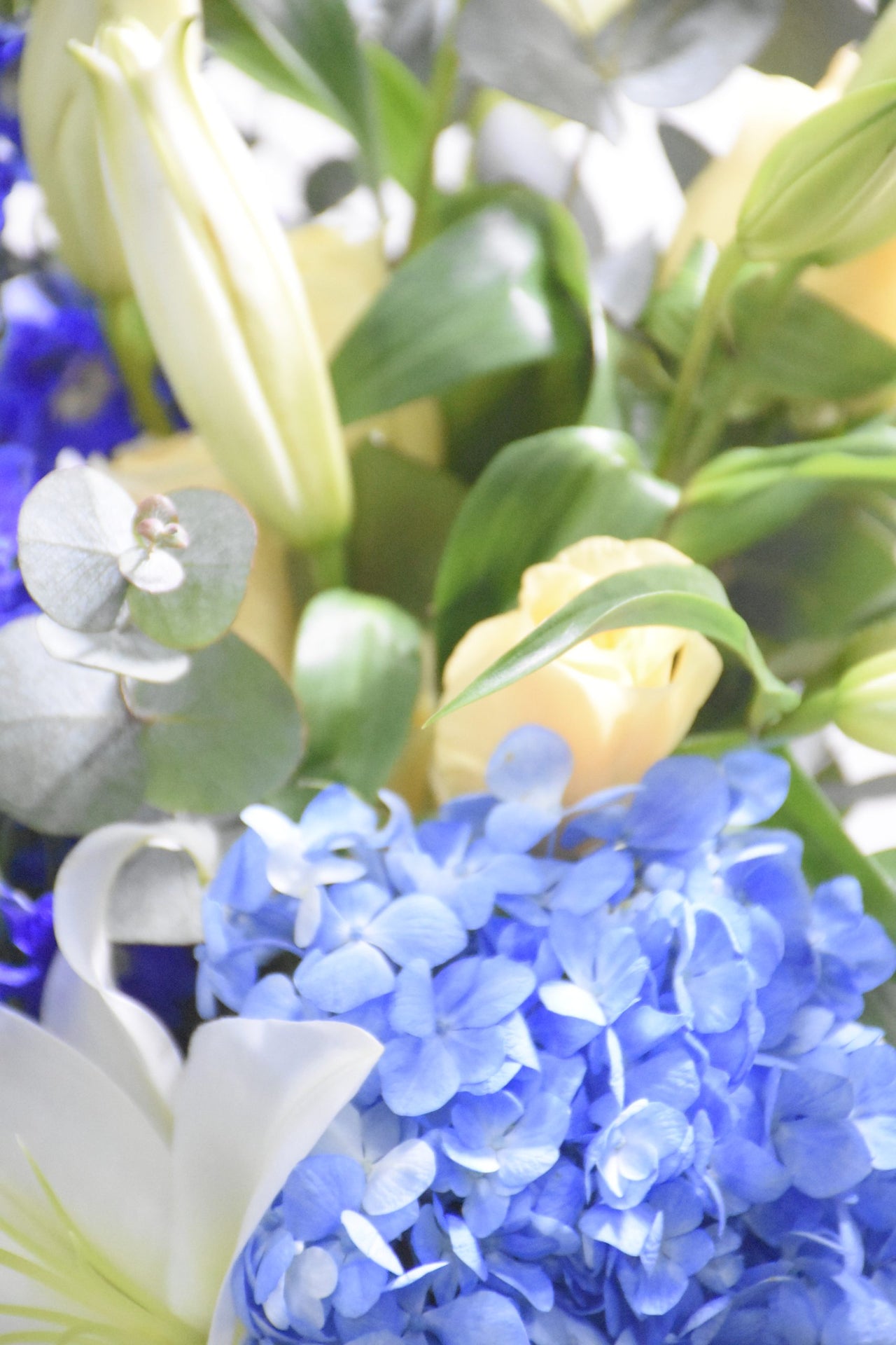 Hydrangea, White Lily with Creme Roses Bouquet