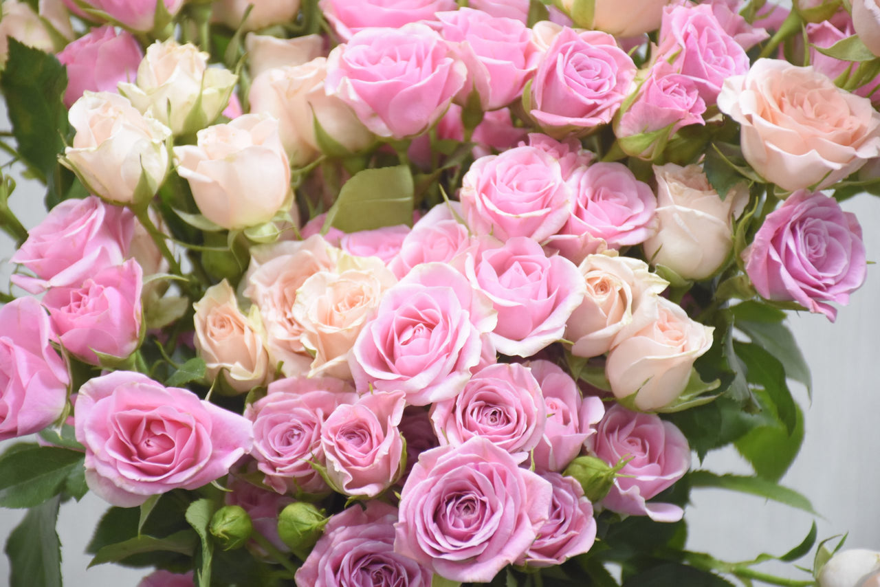 Pink Spray Rose in Vase