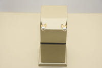 Stainless Steel Earrings Gleaming in 18K Gold
