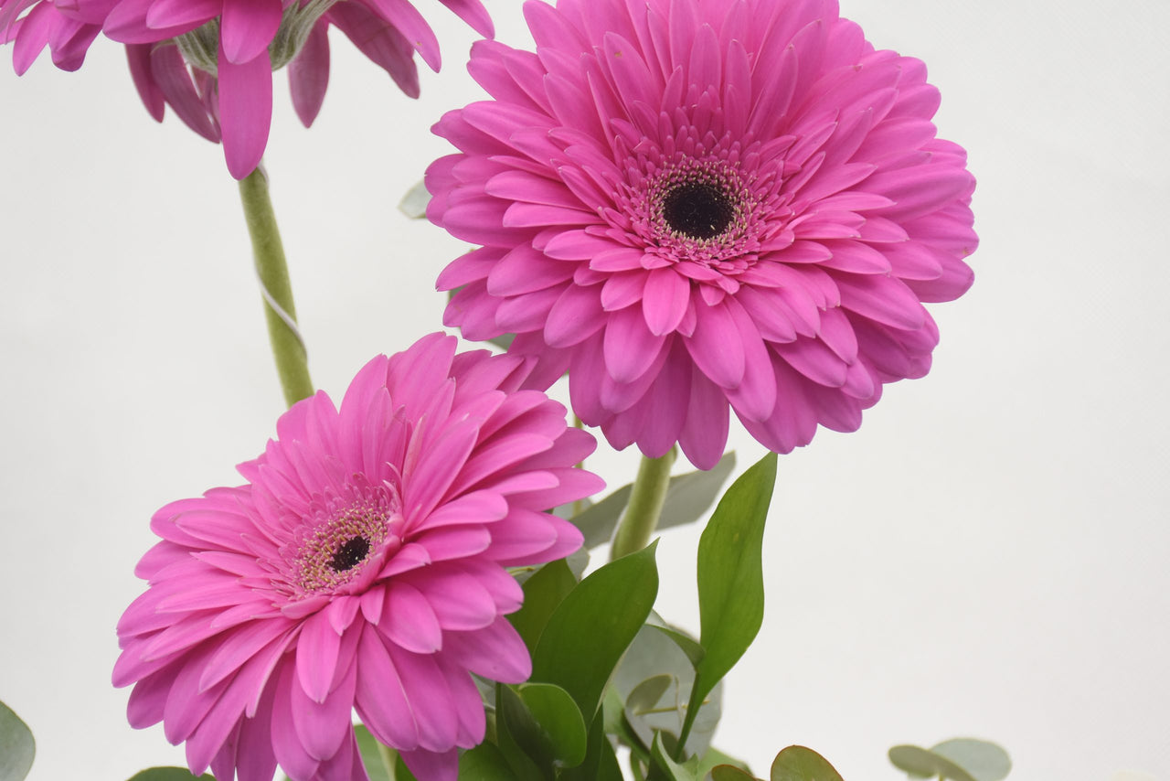 Baby Girl Pink Box Arrangement