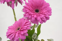 Baby Girl Pink Box Arrangement