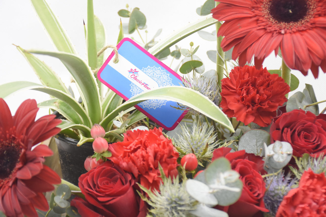 All Occasion Basket: Red Rose & Gerbera