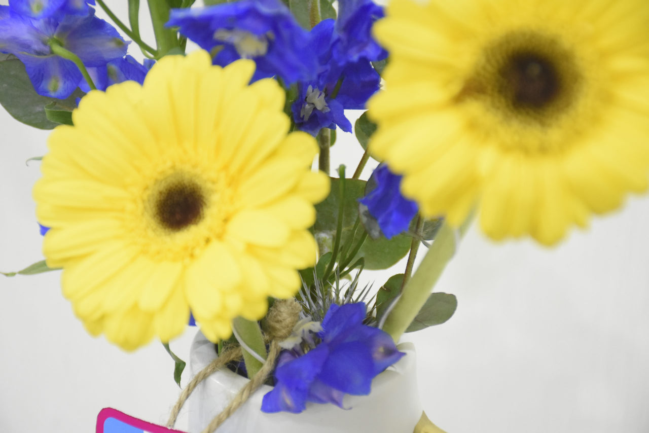 Ceramic Vase Arrangement
