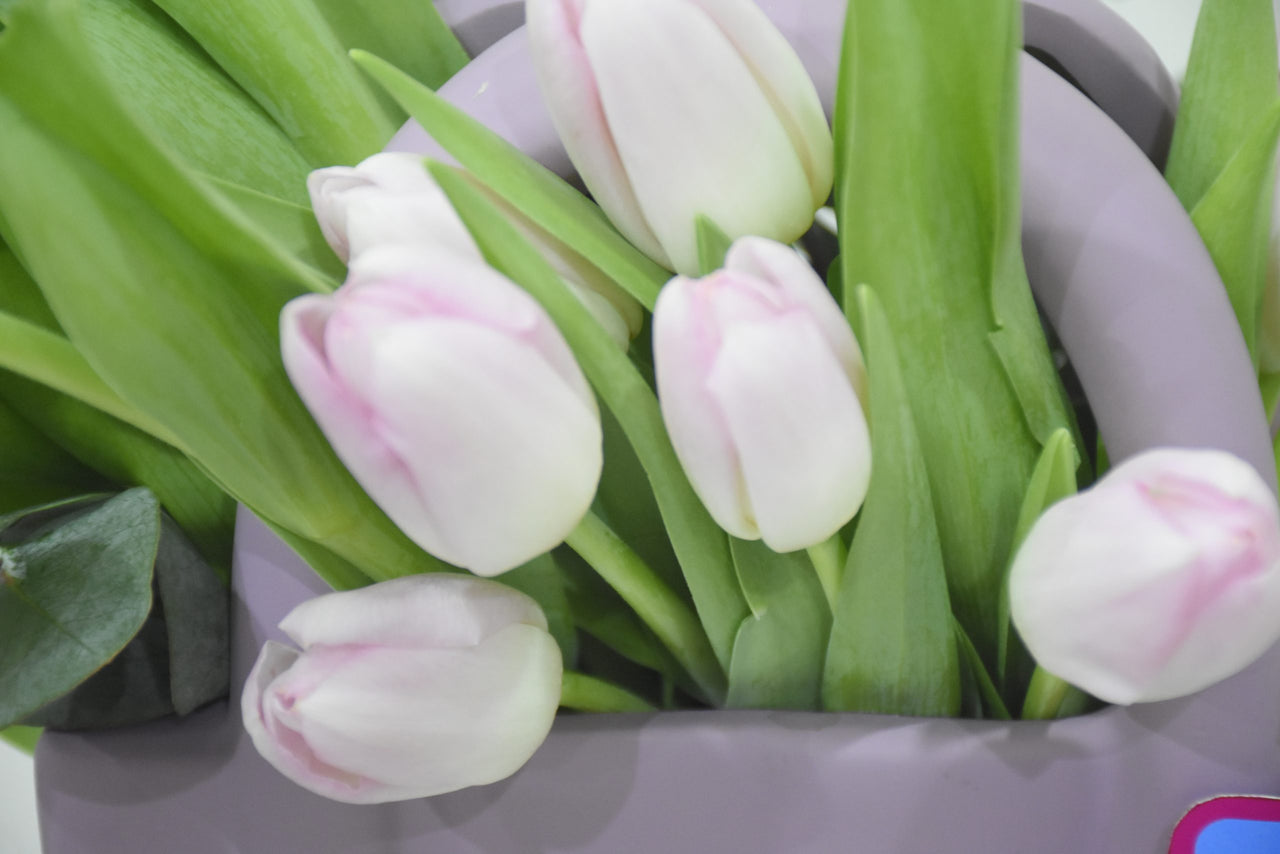 All Occasion Tulip Vase Arrangement