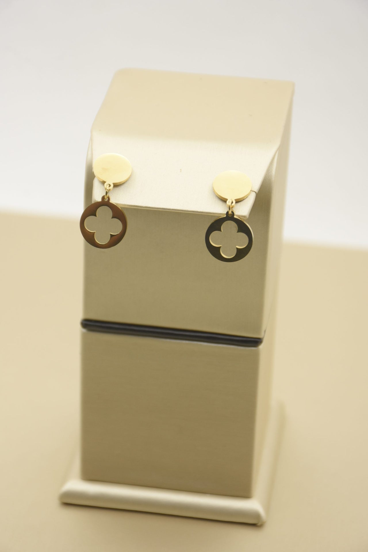 Eternal Glamour: Exclusive Stainless Steel Earrings in 18K Gold