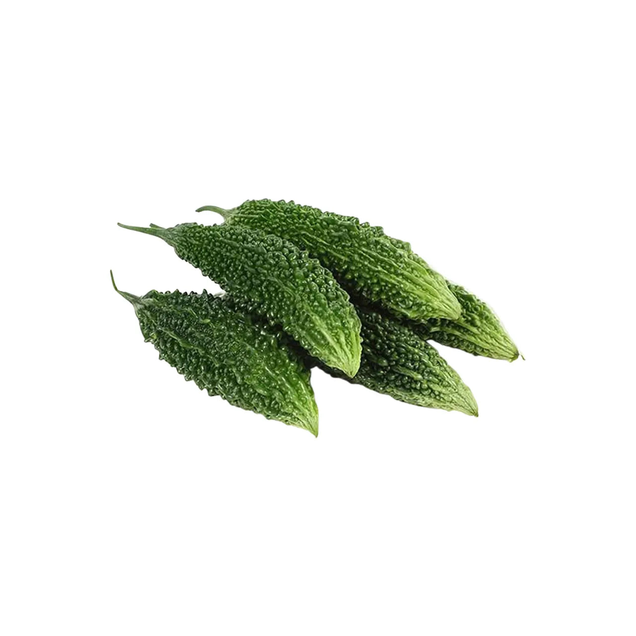 Bitter Gourd Plant (Momordica charantia) | Bitter Melon