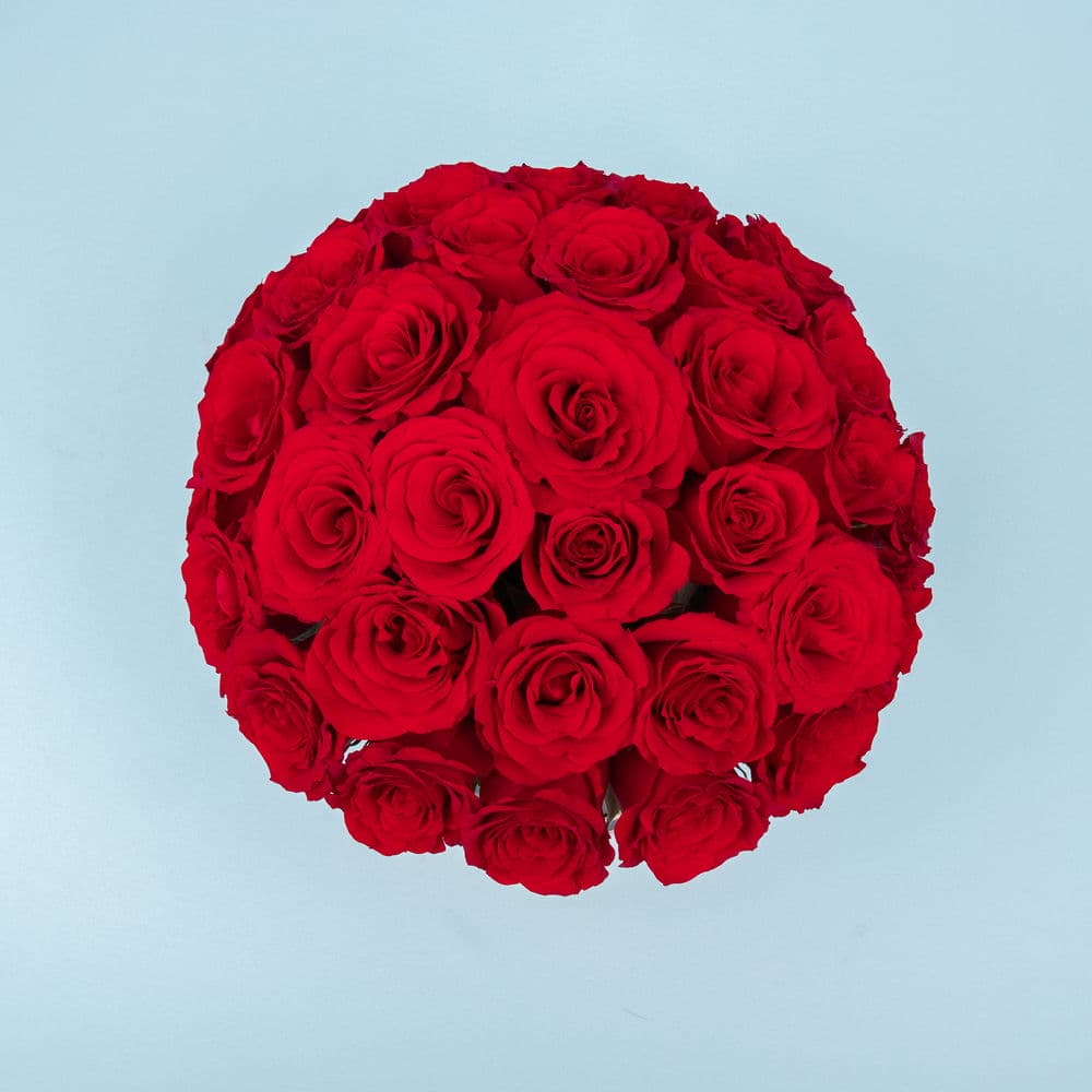 Delight Roses – Red Roses in a Box