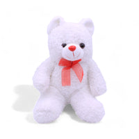 25CM Teddy Bear in 6 Beautiful Colours