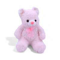 25CM Teddy Bear in 6 Beautiful Colours