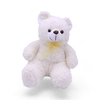 25CM Teddy Bear in 6 Beautiful Colours