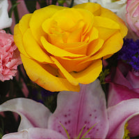 Radiant Blooms Roses, Lilies, and Carnations