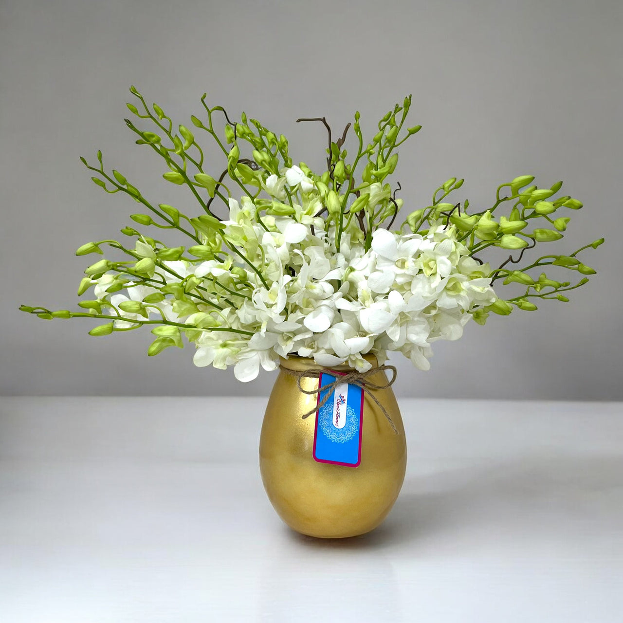 White Dendrobium Orchids in Gold Ceramic Vase