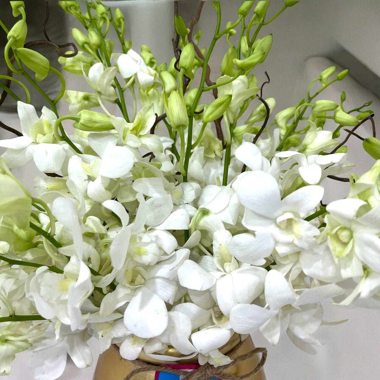 White Dendrobium Orchids in Gold Ceramic Vase