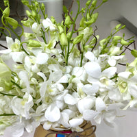 White Dendrobium Orchids in Gold Ceramic Vase