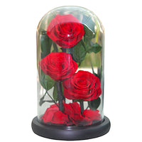 Preserved 3 Red Roses in Dome