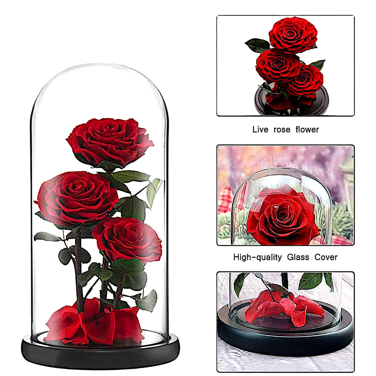 Preserved 3 Red Roses in Dome