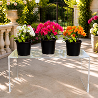 Bougainvillea Plants Bundle – White, Pink & Orange Flowers