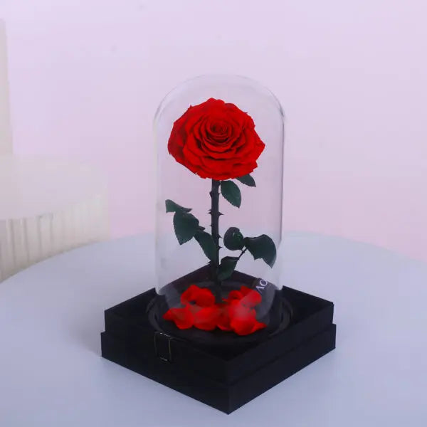 Single Red Forever Rose in Glass Dome