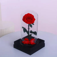 Single Red Forever Rose in Glass Dome