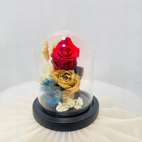 Red Infinity Rose & Dried Flowers
