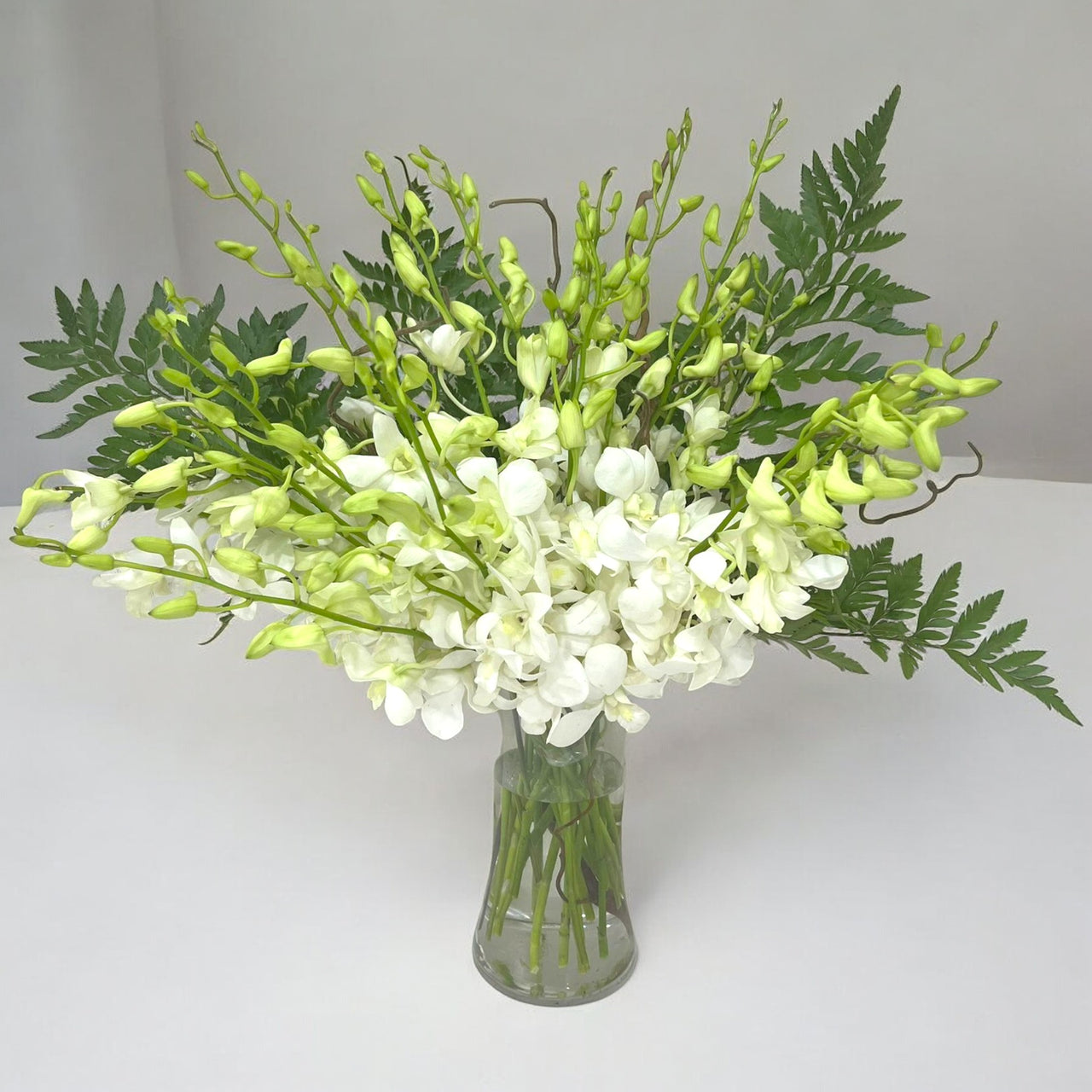 White Dendrobium Orchid Arrangement